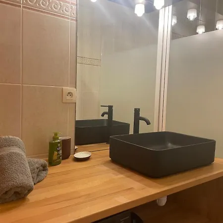 Le Grand Viennois Futuroscope Appartamento *